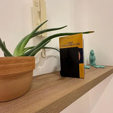 Domus Matronae Pensión Castellammare di Stabia